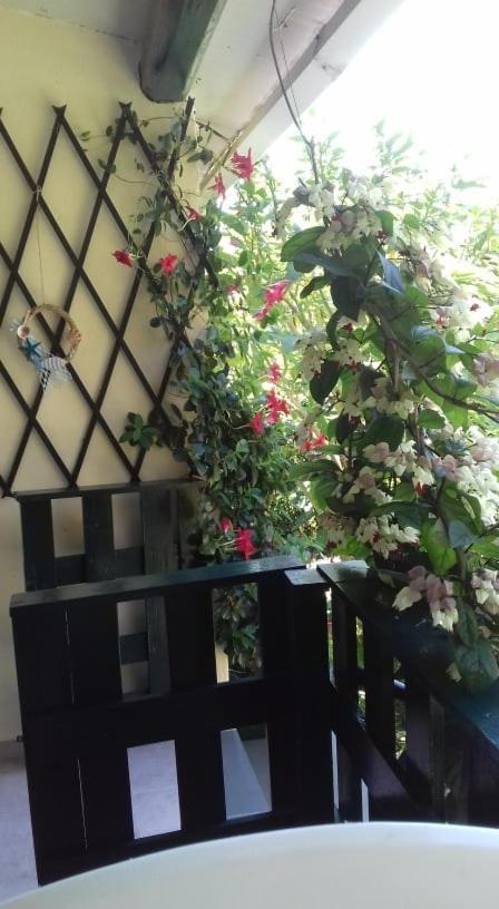 Apartment Serenity House Agios Matthaios (Corfu)